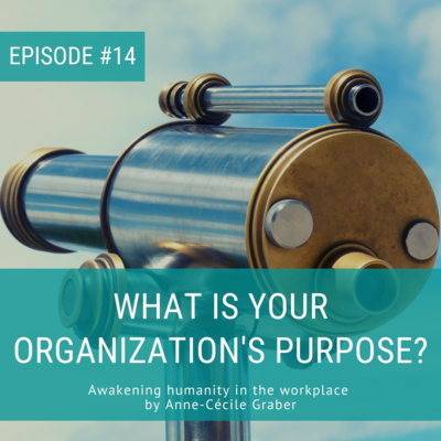 What is your organization's purpose? [Episode 14]