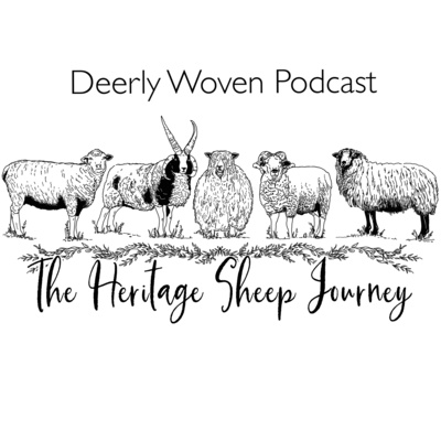 Ep:16 The Heritage Sheep Journey - The Romance behind Leicester Longwools