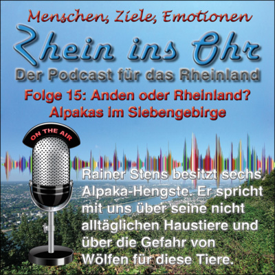 #15: Anden oder Rheinland? Alpakas im Siebengebirge