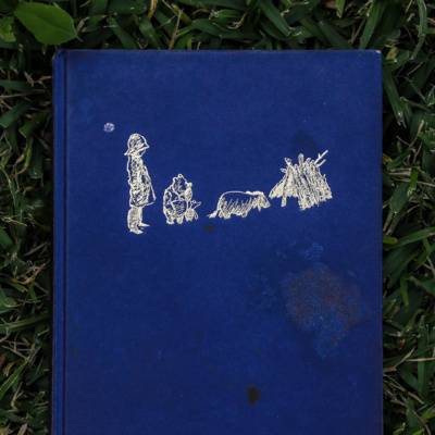 The House At Pooh Corner, Chapter Four episode artwork
