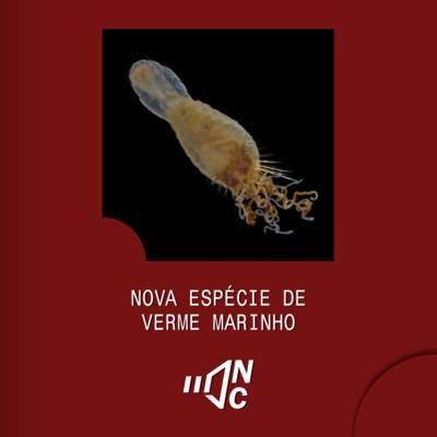 Notícias do Campus