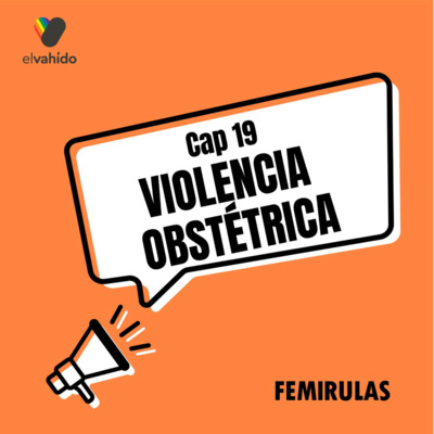 Capítulo 19: Violencia Obstétrica