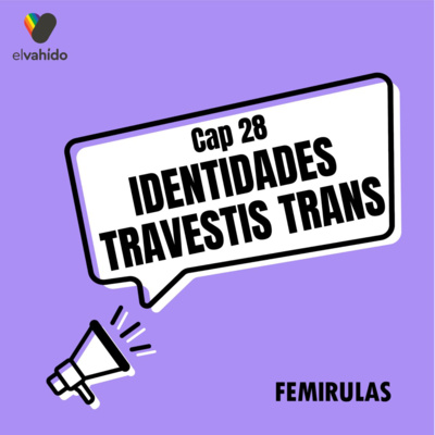 Capítulo 28: Identidades Travestis Trans