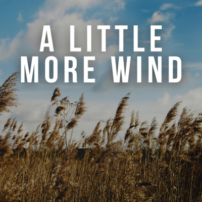 A Little More Wind episode artwork