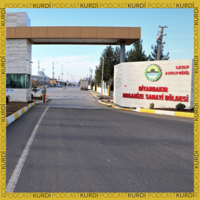Bakur- Rêjeya îxracatê sal bi sal zêde dibe ( Mahsum Rençber)