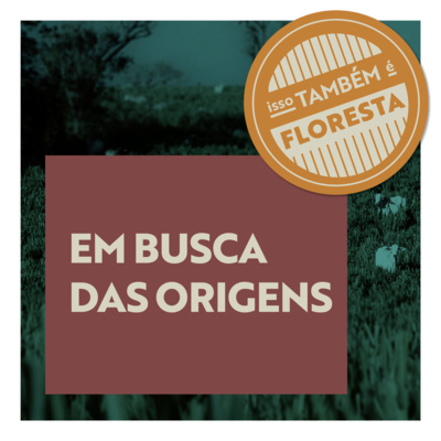 Isso Também é Floresta