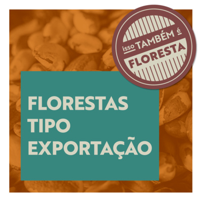 Isso Também é Floresta