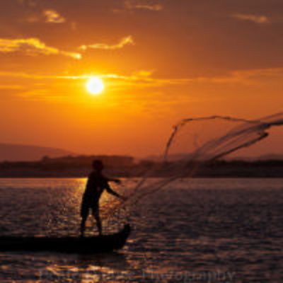 Drop the net!