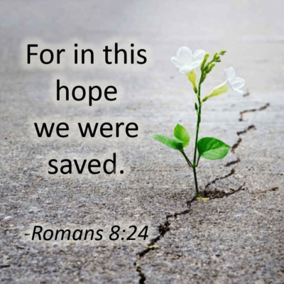 In hope we were saved