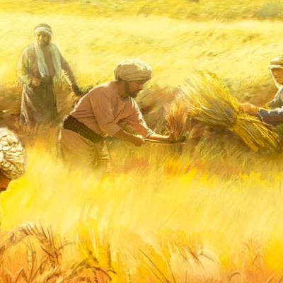 Parable of the Weeds and the Wheat