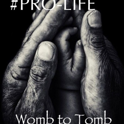 Respect Life: Womb to Tomb