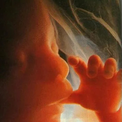 Hope: Respect Life Leader Day of Recollection