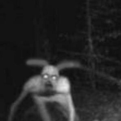 THE GOATMAN