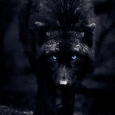 SKINWALKERS PLUS