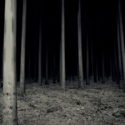 SPOOKY IN THE WOODS