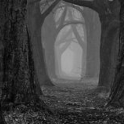 STRANGE STRANGE WORLD