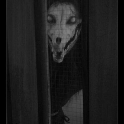 WHAT THE F' WAS THAT! A CRYPTID TALE!