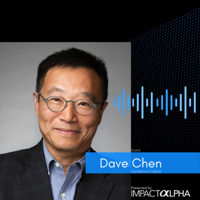 Dave Chen | Impact Alpha's ROI