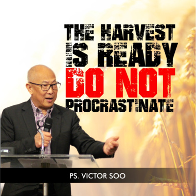 The Harvest Is Near Do Not Procrastinate episode artwork