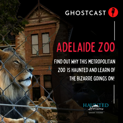 Ep16 | HAUNTED ADELAIDE ZOO | Why would a Metropolitan Zoo be Haunted? | What on Earth is Going on There?