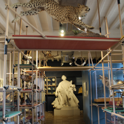 Le Nouveau Monde - Sur les pistes du vivant - Portraits de naturalistes du XXe siècle - Eric Guilbert - Première escale : La soif de connaissances- Le métier de naturaliste
