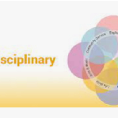 Transdisciplinary Learning