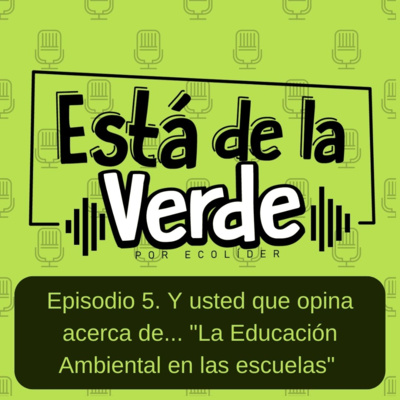 Y usted que opina acerca de....