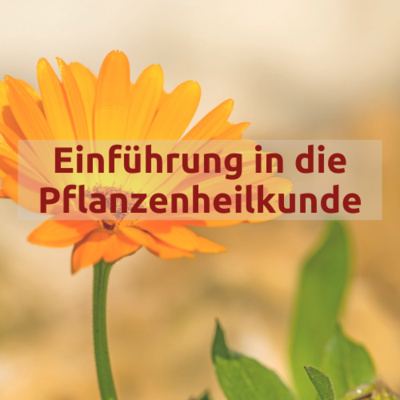 Heilpraktiker Wissen