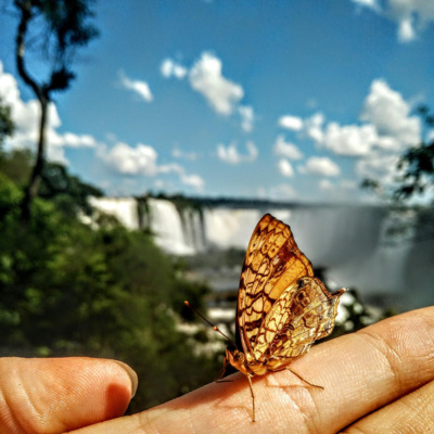 Episode 12: Visiting the Foz do iguaçu waterfalls 🇧🇷
