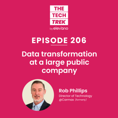 Data transformation at a large public company