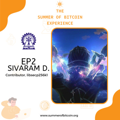 The Summer of Bitcoin Experience (TSOBE)