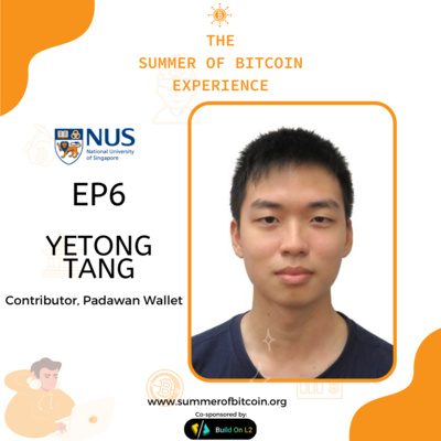 The Summer of Bitcoin Experience (TSOBE)