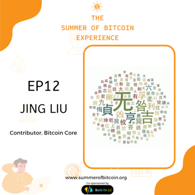 The Summer of Bitcoin Experience (TSOBE)