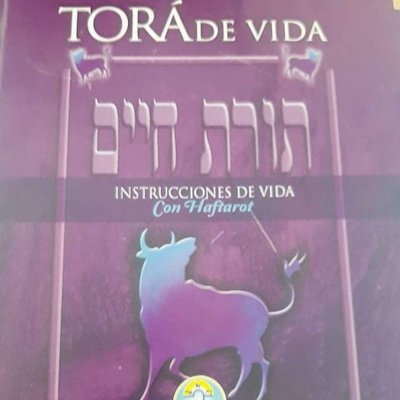 Comenzando a estudiar Toráh