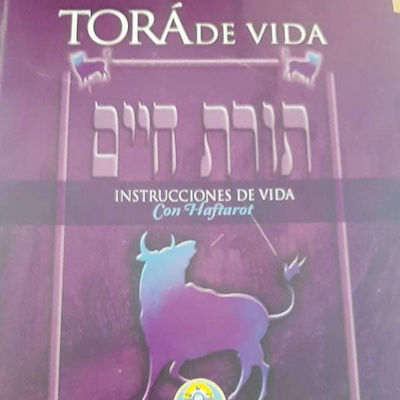 Comenzando a estudiar Toráh