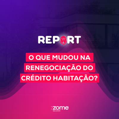 Zome Report
