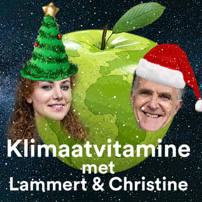 De Grote Eindejaarsshow