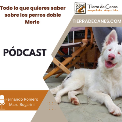 Tierra de Canes
