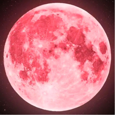 PINK MOONS & IMMORTALITY