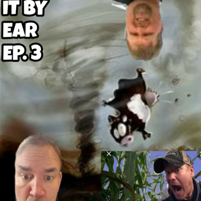 Episode 3: Phobias, Songs that make you happy, favorite sports movies