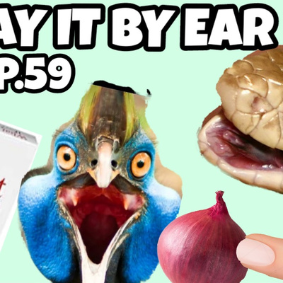 Episode 59: World's Most Dangerous Animals; Disgusting Public Displays: What If? Game