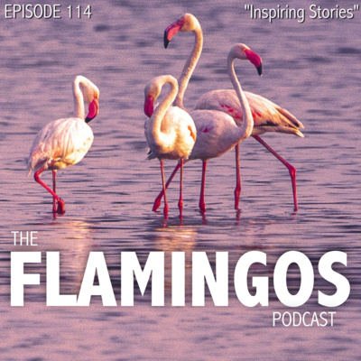 The Flamingos Podcast with YAD, Kanzi & Awab