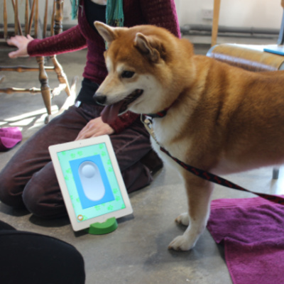 Why You Should Teach Your Dog To Use Your Iphone Seriously Sftd S Dog Training In 21 Days Day 2 Challenge Explained By School For The Dogs Podcast Dog Training Animal