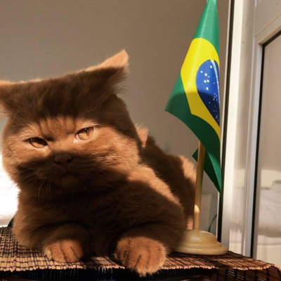 Tử Thư Tây Tạng- Tác Giả: Guru Rinpoche