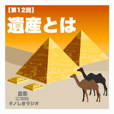 #12【雑談】遺産とは