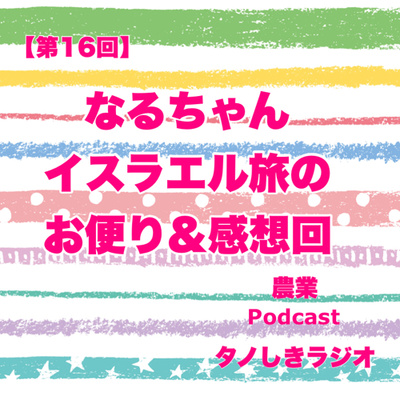 【第16回】なるちゃんイスラエルの旅・お便り&感想