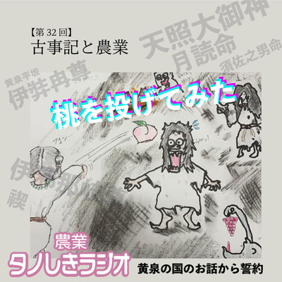 #33【古事記と農業②】うりゃ桃投げたれ‼︎ 古事記と農業 黄泉の国から誓約のお話