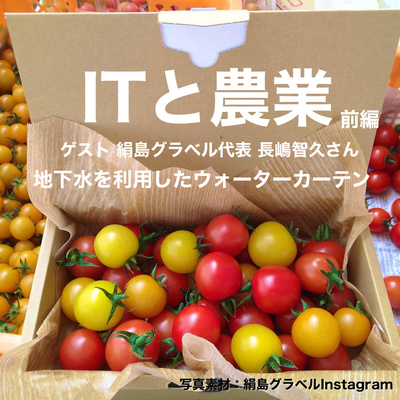 #49【ITと農業】ゲスト 絹島グラベル 代表 長嶋智久さん 前編