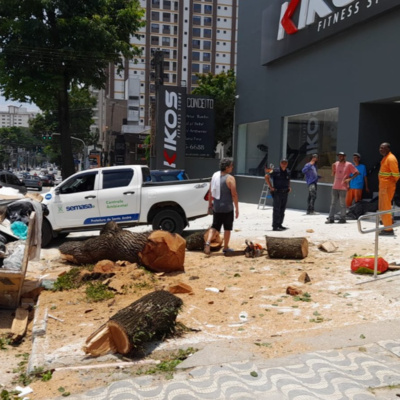 #0068 - Jornal Metropolitano - 26 12 26 - 1ª edição - Semasa autua comerciante que corta árvore em Santo André