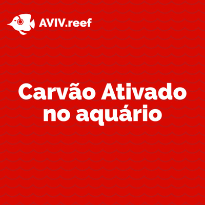Carvão Ativado no aquário. Pra que serve e como deve ser usado?